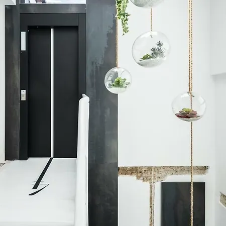 Rice Eleven דירה