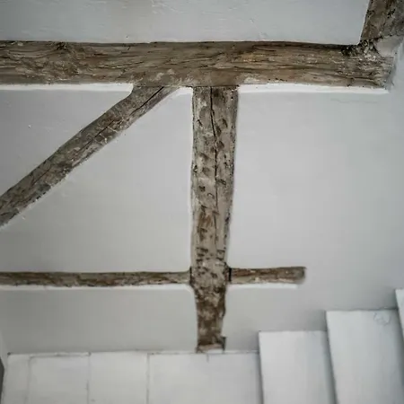 Rice Eleven דירה Burgo