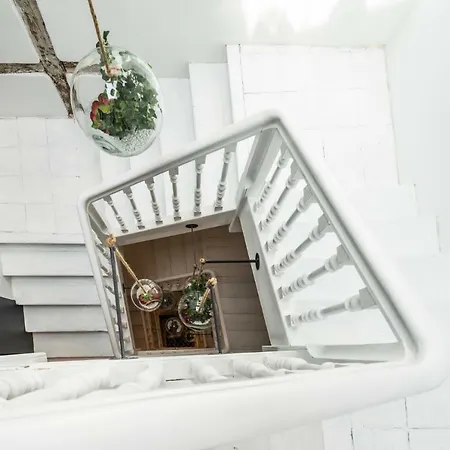 Rice Eleven Apartment