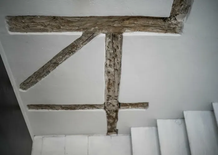 Rice Eleven 아파트 Burgo